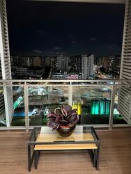Watertown (D19), Apartment #590733021
